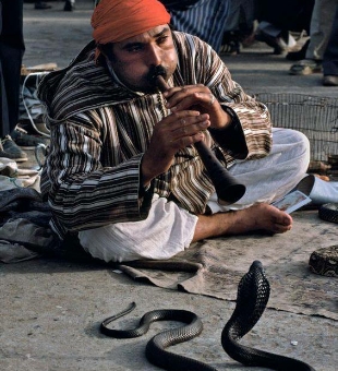 everyday Casablanca day trip to Marrakech,private excursion from Casablanca to Marrakech medina everyday Casablanca day trip to Marrakech,private excursion from Casablanca to Marrakech medina